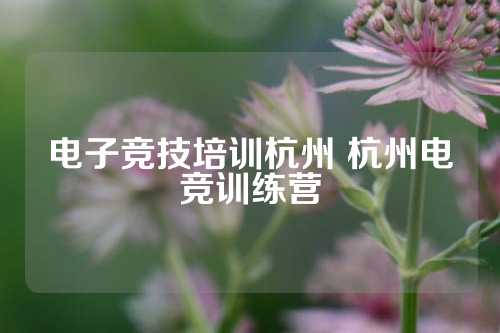 电子竞技培训杭州 杭州电竞训练营